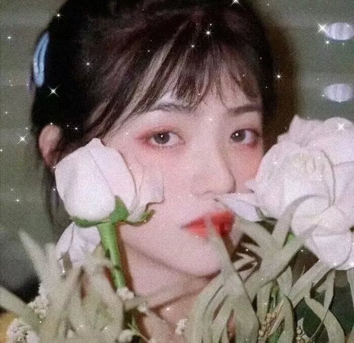 毒蛇王后
