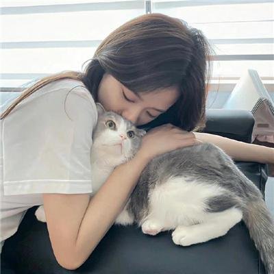 向日葵与幼犬的7天国语